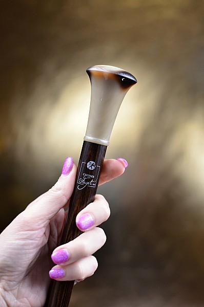 Vycházková hůl Fayet Milord corne