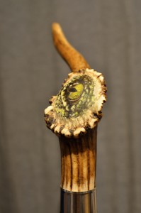 Vycházková hůl Hůlkárna Dračí oko