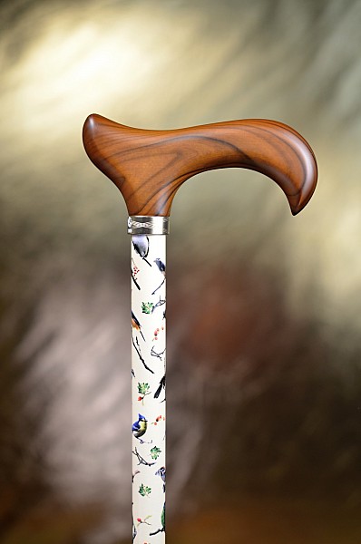 Vycházková hůl s nastavitelnou délkou Fayet Bird