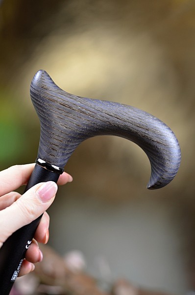 Vycházková hůl teleskopická Gastrock Esche