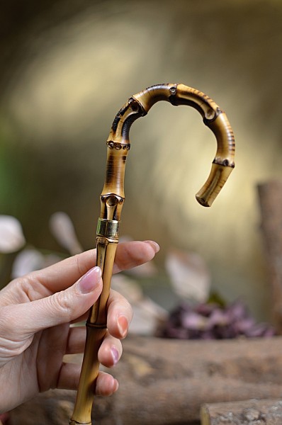 Vycházková hůl sběratelská Bamboo
