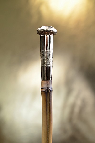 Vycházková hůl sběratelská Ceremonie pozlacená