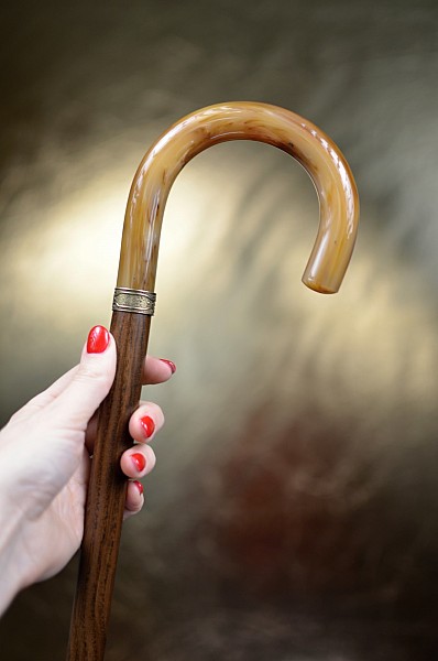 Vycházková hůl s kulatou rukojetí Ambre
