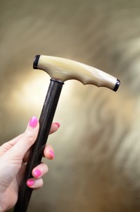 Vycházková hůl Fayet corne sur ebene