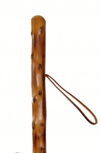 Vycházková hůl Rustikal for men s kovovým bodcem