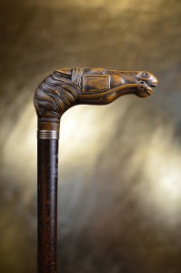 Vycházková hůl závodní kůň