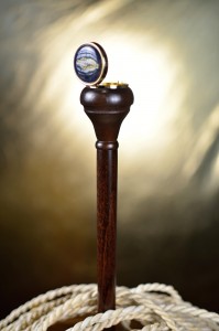 Vycházková hůl sběratelská Pill Box 2