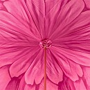 Deštník luxusní Pasotti Fuchsia Dahlia