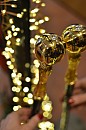 Vycházková hůl sběratelská Gold Mirror il Marchesato