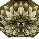 Deštník luxusní Pasotti Green Dahlia